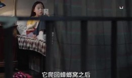 爆球姐爆料视频,揭秘视频背后的惊人真相